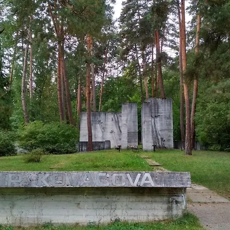 Apartmán Ares Centrum Kováčová *